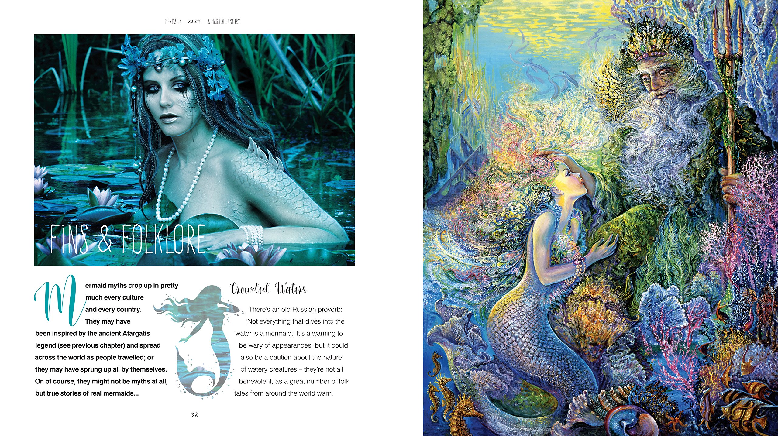 The Magical History of Mermaids (Hardback)
