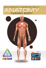 Anatomy: Human Body- Augmented Reality Book