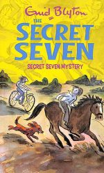 Secret Seven Mystery: Secret Seven 9