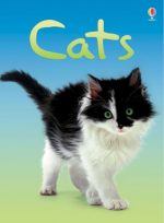 Cats (Beginners) (Beginners) [Hardcover] [Jan 01, 2012] Anna Milbourne (Beginners Series)