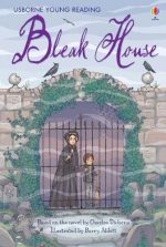 Bleak House (Young Reading Level 3) [Paperback] [Jan 01, 2010] NILL