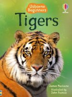 Tigers - Usborne Beginners