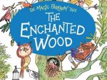 The Enchanted Wood: Book 1 (The Magic Faraway Tree)