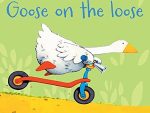 Phonics Readers Goose On The Loose